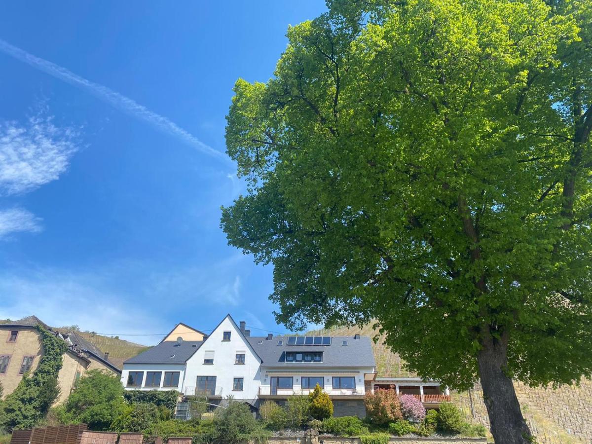 Hotel Wein Und Gastehaus Marlene Pohl Kinheim Zewnętrze zdjęcie